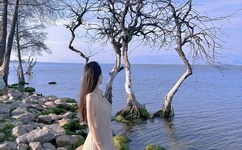 国产一产二产三精华液